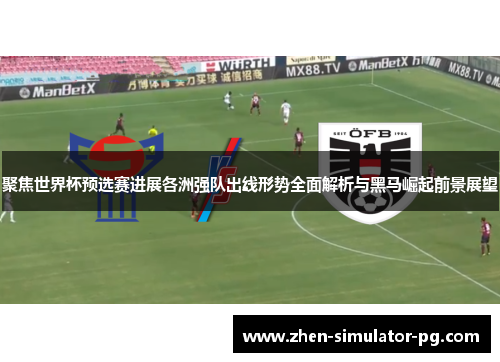 聚焦世界杯预选赛进展各洲强队出线形势全面解析与黑马崛起前景展望